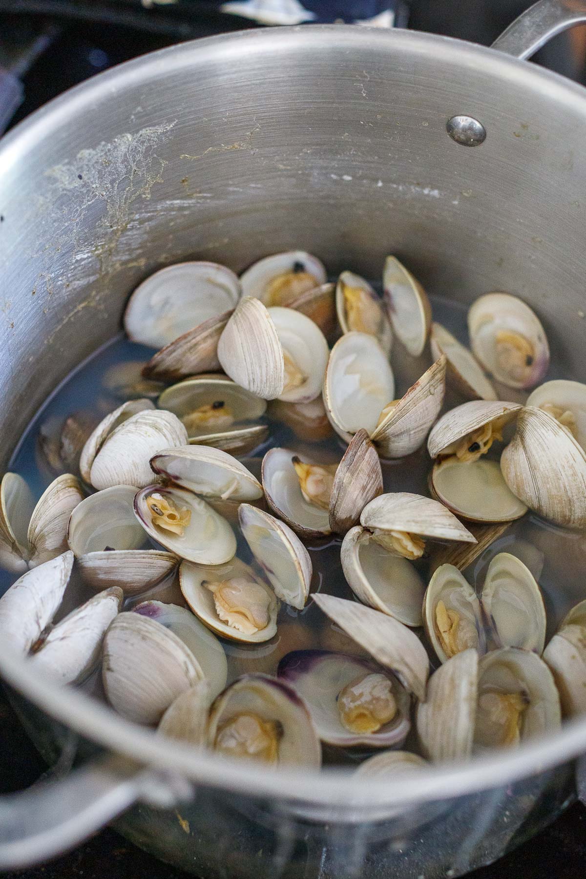 clams opened up in large pot of water