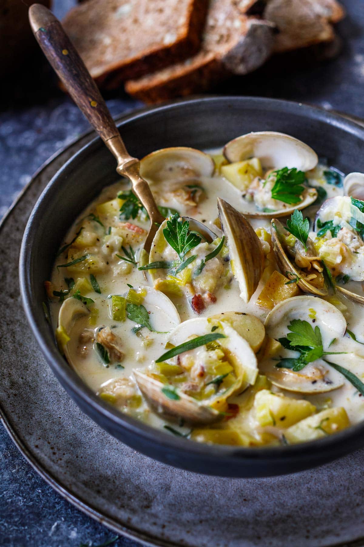 clam chowder in bowl with shells, fresh parsley
