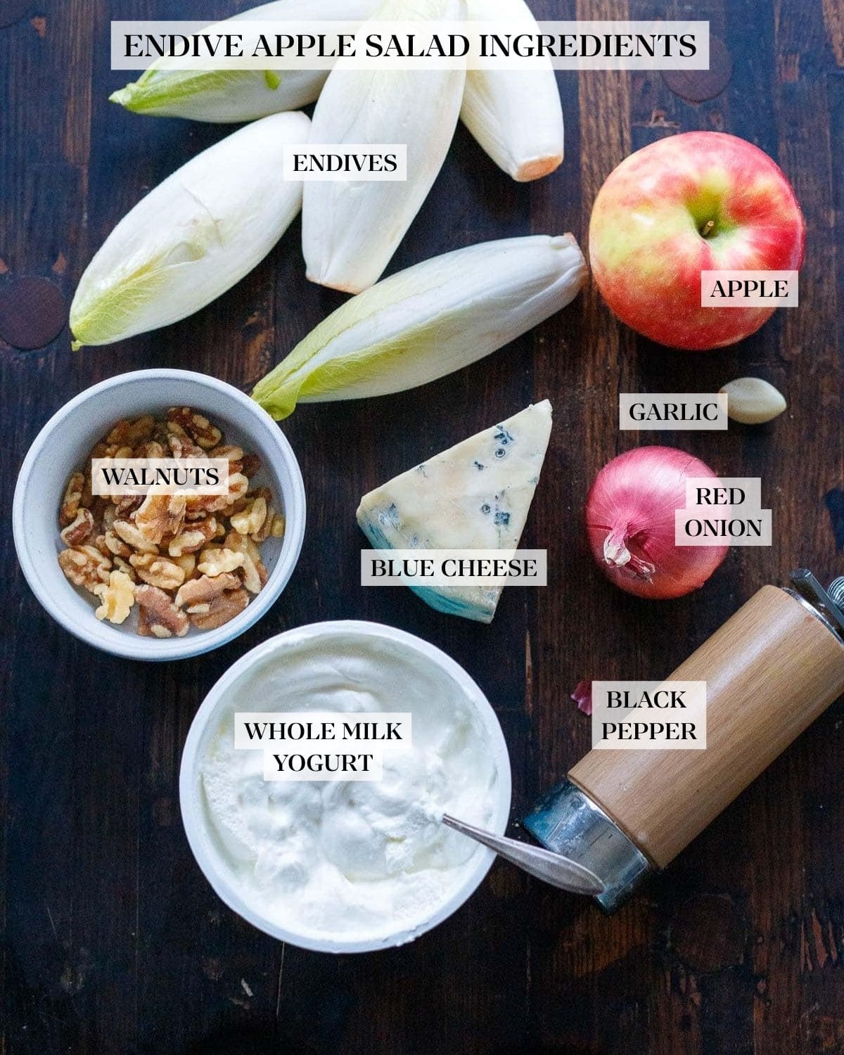 Endive Apple Salad Ingredients neatly arranged and labeled - endives, apple, garlic, walnuts, blue cheese, red onion, whole milk yogurt, black pepper.