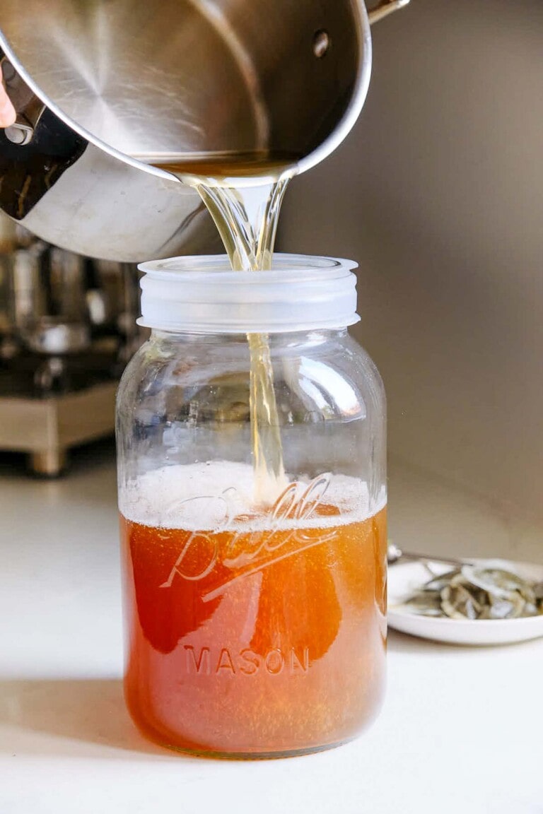 How to Make Homemade Kombucha (A Simple Guide) | Feasting At Home