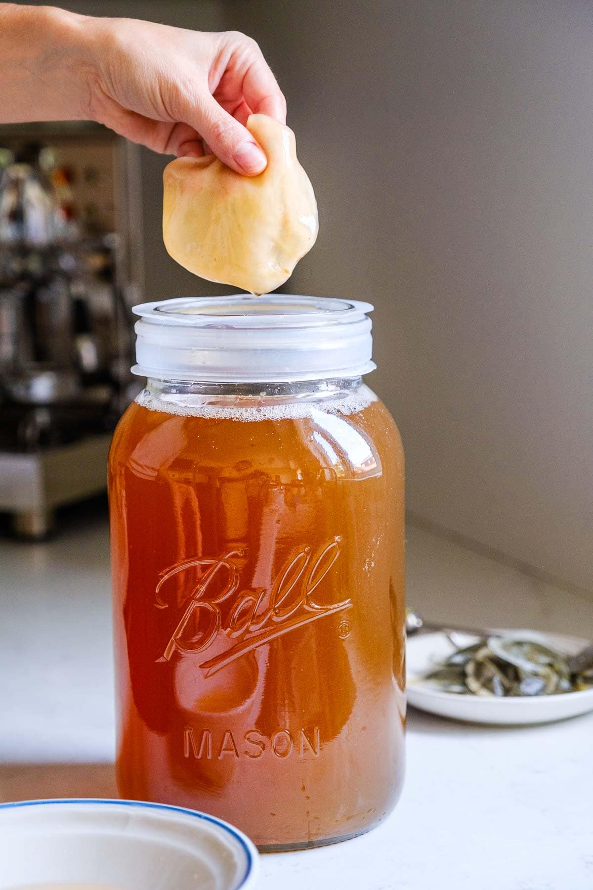 How To Make Coffee Kombucha How To Make Coffee Kombucha