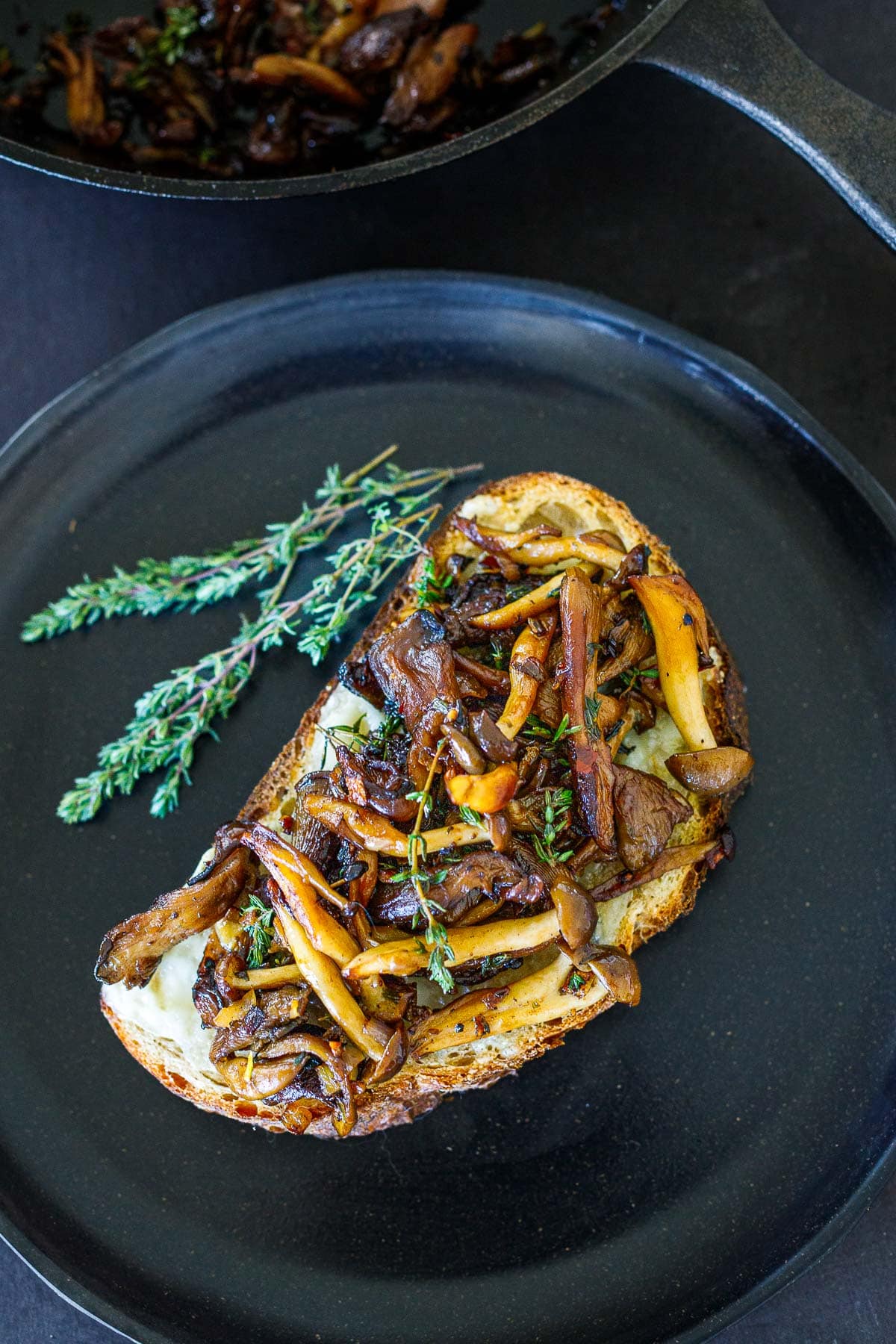 mushroom toast with wild mixed mushrooms, melted cheese underneath, garnished with fresh thyme.