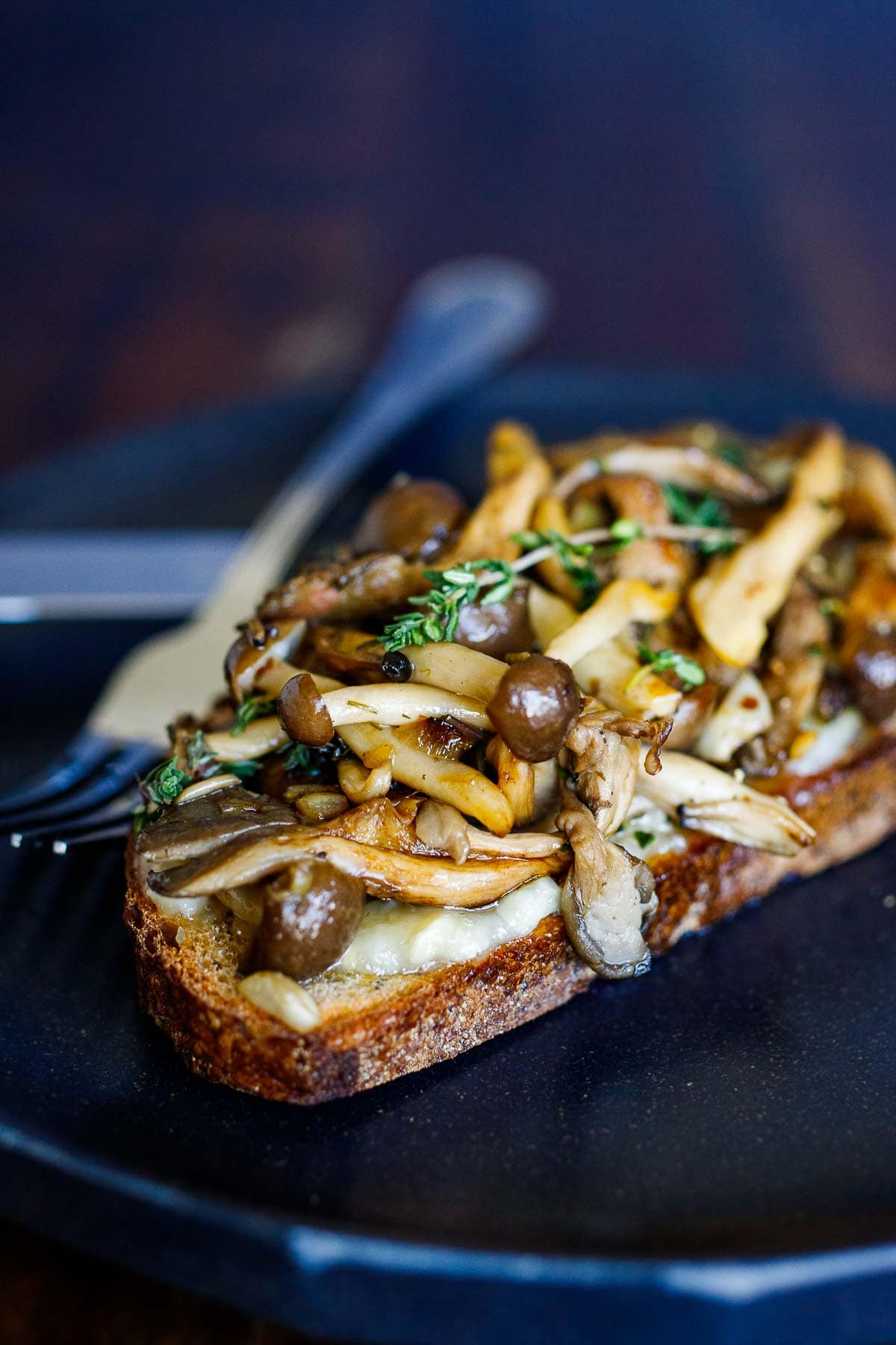 mixed mushroom toast with melted cheese, garnished with fresh thyme.