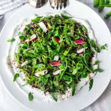 Spring Lentil Salad