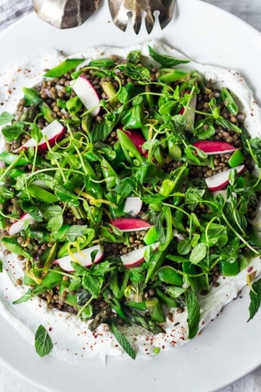 a spring lentil salad over creamy tahini yogurt on a white plate.