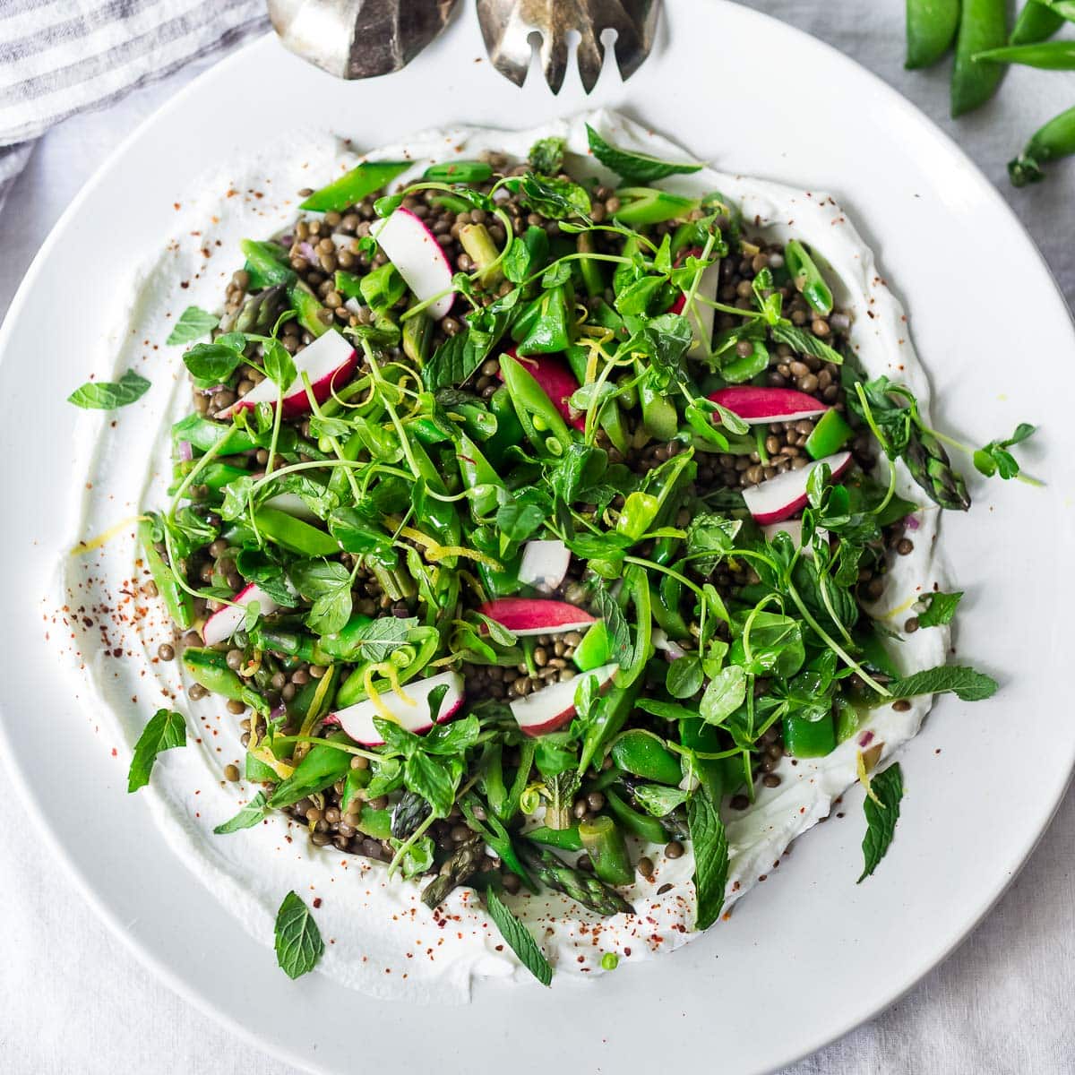 green lentil salad dressing Green Lentil Salad with Herbs