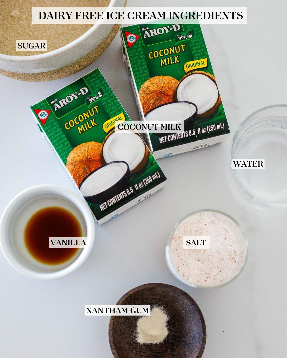 ingredients laid out for dairy-free ice cream- bowl of cane sugar, boxes of coconut milk, water, salt, vanilla, and xantham gum.