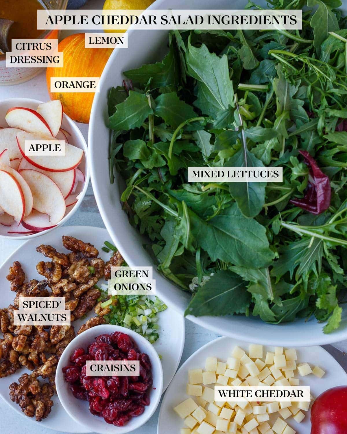ingredients arranged for apple cheddar salad - bowl of mixed greens, orange and lemon, jar of dressing, small bowl with sliced apples, plate of cinnamon walnuts, dried cranberries, and sliced scallions, plate of cubed cheddar.