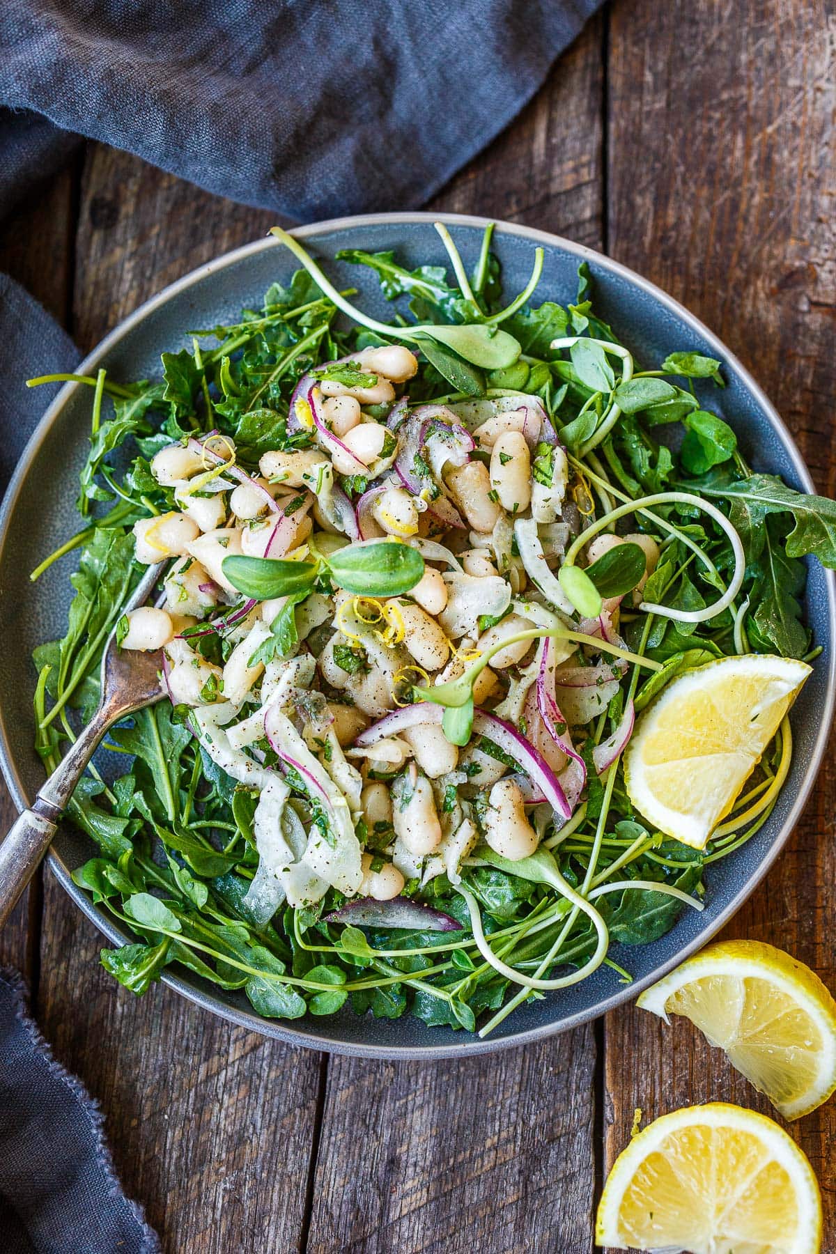 white bean salad with fennel and red onion topped with lemon zest and sprouts over a bed of arugula. 