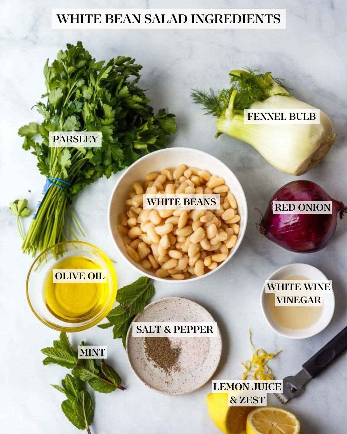 white bean salad ingredients arranged on countertop and labeled - parsley, fennel bulb, white beans, red onion, olive oil, white wine vinegar, salt and pepper, mint, and lemon juice and zest. 