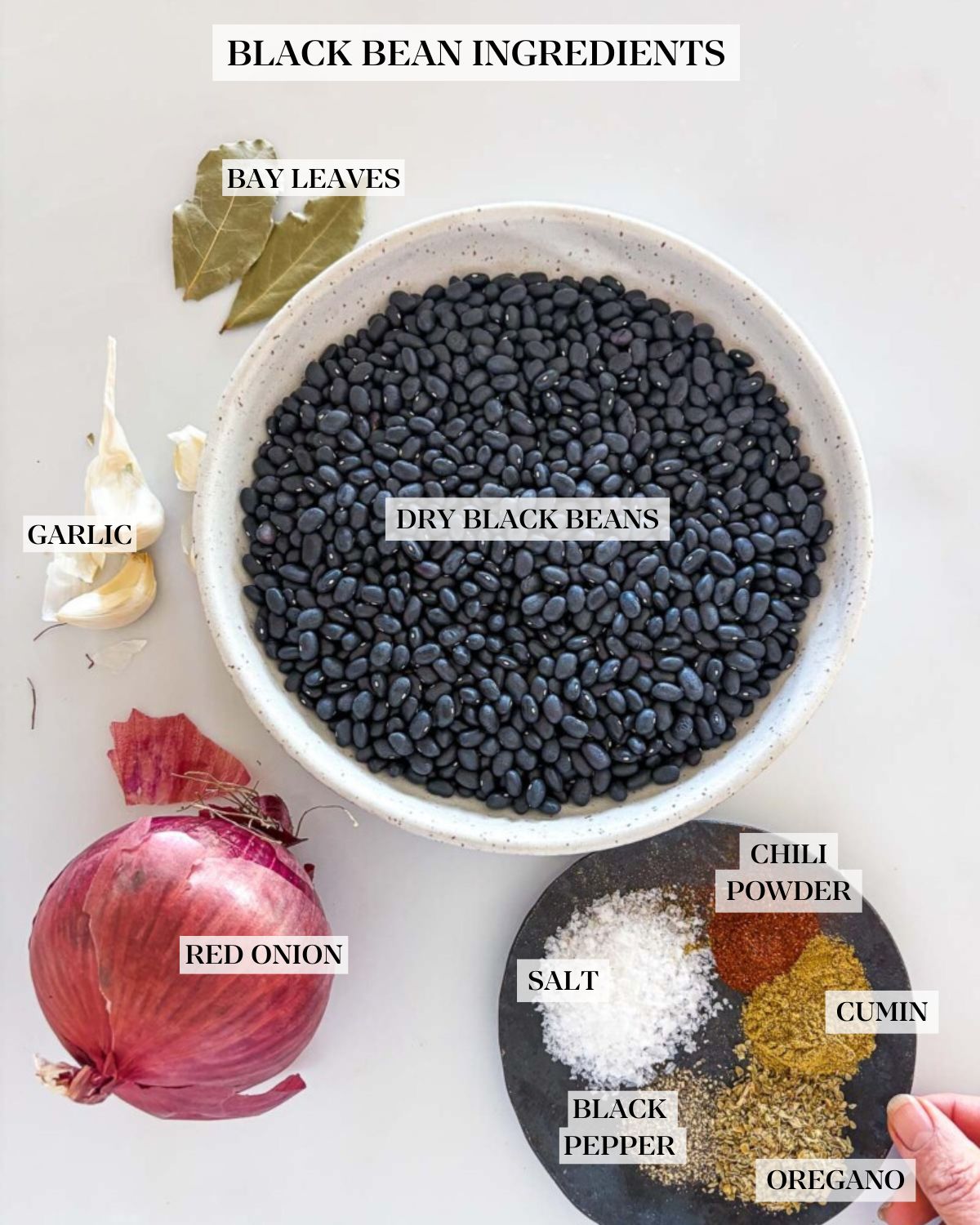 black bean ingredients arranged and labeled - bay leaves, dry black beans, garlic, red onion, and a plate of spices, chili powder, cumin, oregano, black pepper, salt.