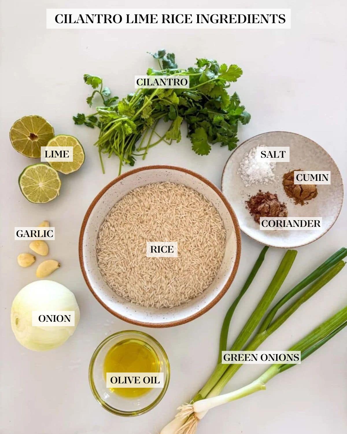 The ingredients in cilantro lime rice layed out on the counter: long grain rice, fresh limes, cilantro, onion, green onion, garlic and Mexican spices.