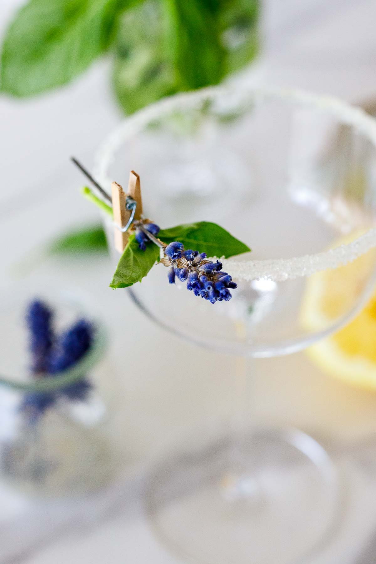 Garnish tip! sugar-rimmed coupe glass with basil and lavender attached by a mini clothespin.