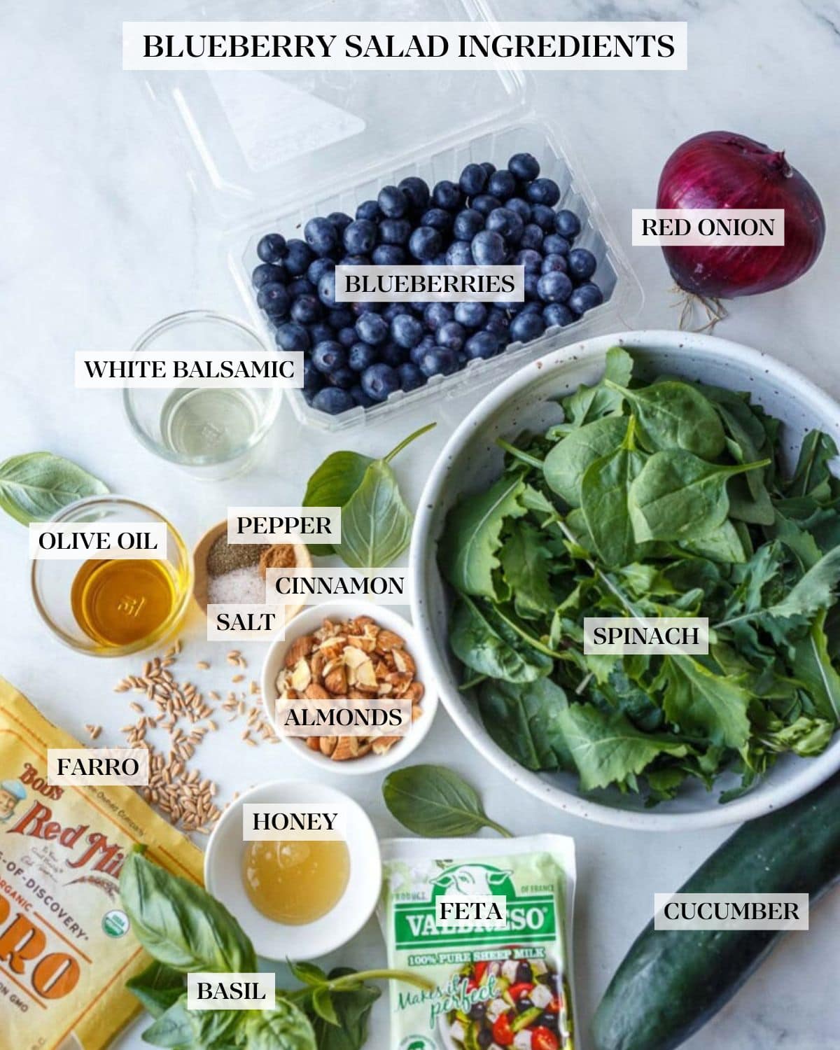 blueberry salad ingredients labeled - red onion, blueberries, white balsamic, olive oil, pepper, cinnamon, salt, spinach, almonds, farro, honey, basil, feta, cucumber.