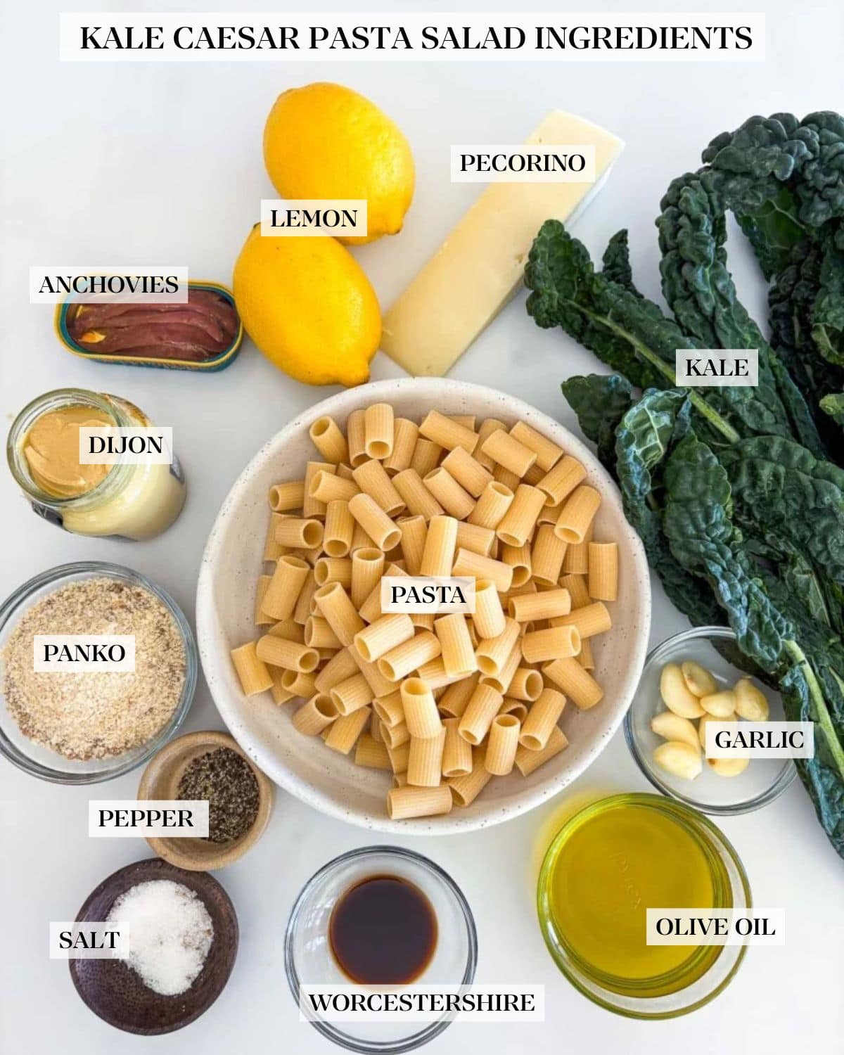 kale caesar pasta salad ingredients labeled - lemon, pecorino, kale, garlic, olive oil, worcestershire, salt, pepper, panko, dijon, anchovies, pasta. 