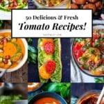 A collection of fresh and healthy tomato recipes.