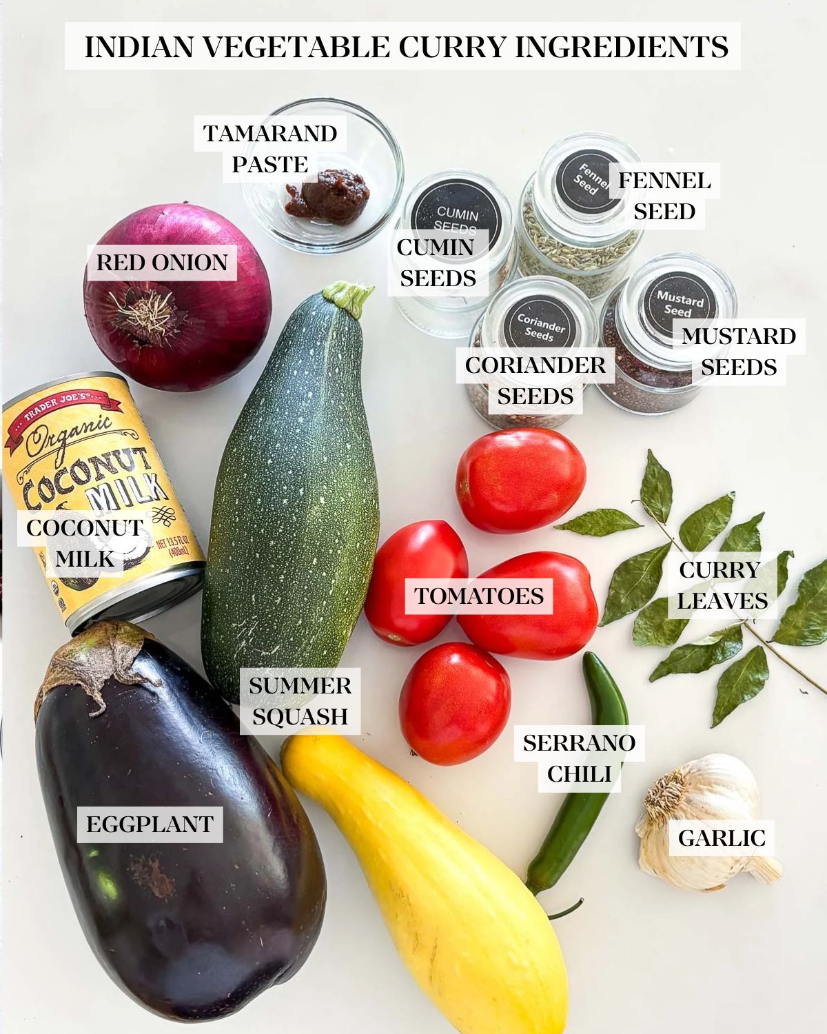 ingredients neatly laid out to make vegetable curry - tamarind, seeds in jars (fennel seed, cumin seeds, coriander seeds, mustard seed), red onion, zucchini, coconut milk, roma tomatoes, bay leaves, chili, garlic, eggplant, yellow squash.