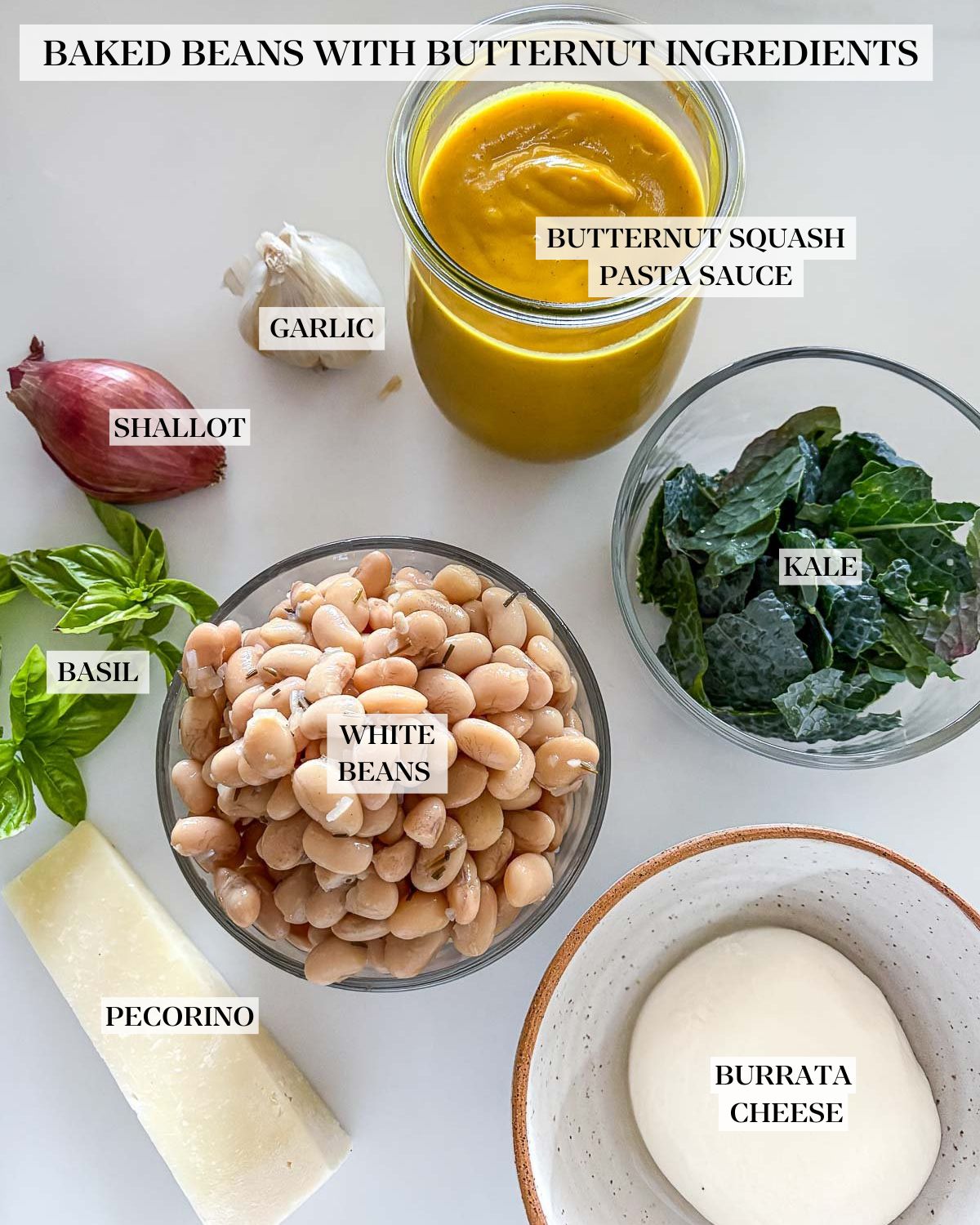butternut baked beans with burrata ingredients - jar of butternut sauce, garlic, shallot, bowls of kale and white beans, basil, pecorino, and burrata.