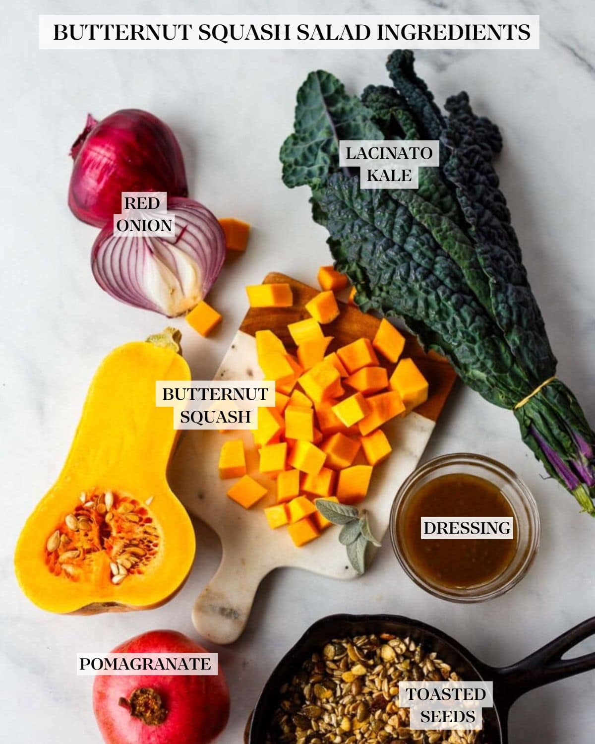 butternut squash salad ingredients labeled and organized - lacinato kale, red onion, butternut squash, dressing, toasted seeds, pomegranate.