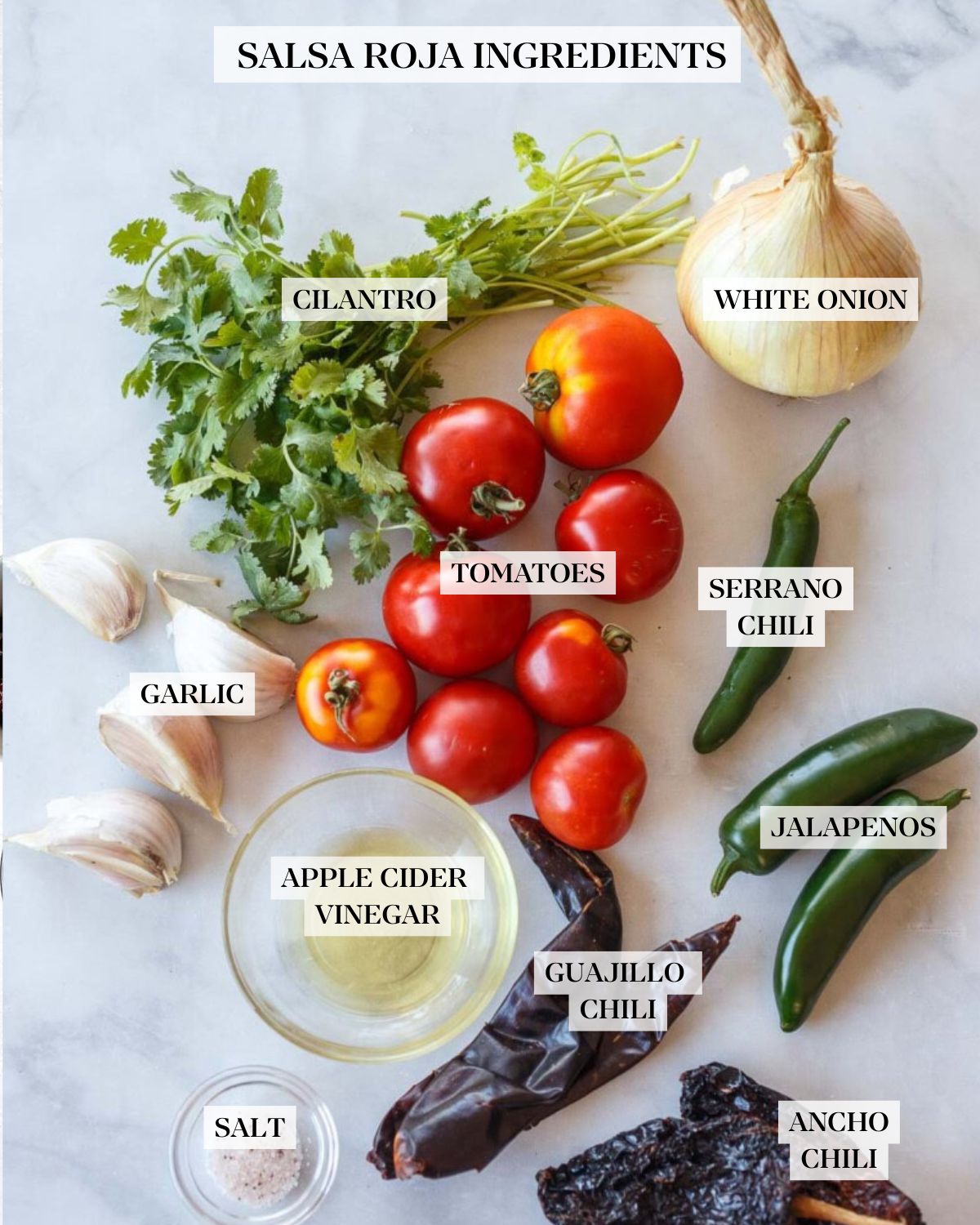 ingredients for salsa roja - onion, cilantro, tomatoes, garlic cloves in peel, jalapeños, dried chilies, apple cider vinegar, salt.
