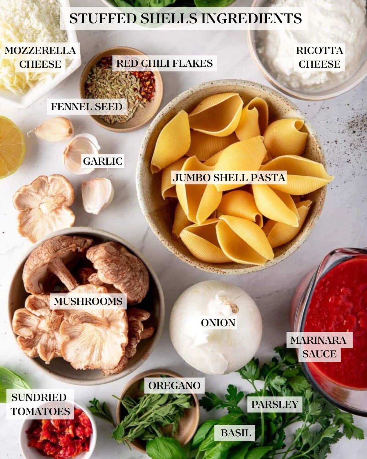 stuffed shells ingredients labeled and arranged neatly - ricotta cheese, red chili flakes, fennel seed, mozzarella cheese, garlic, jumbo shell pasta, mushrooms, onion, marinara sauce, parsley, basil, oregano, and sundried tomatoes.