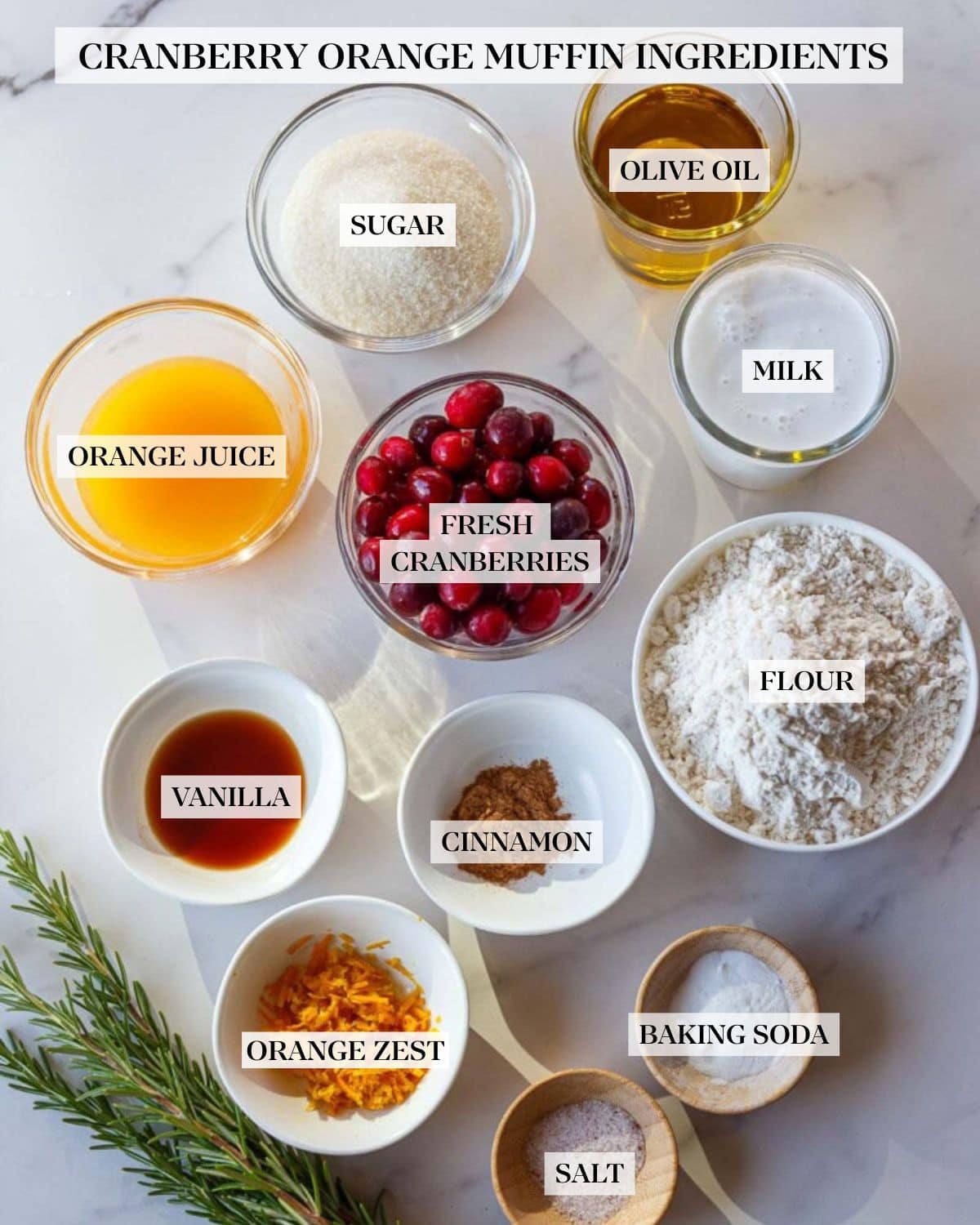 cranberry orange muffin ingredients labeled and arranged in bowls - sugar, olive oil, milk, flour, fresh cranberries, orange juice, vanilla, cinnamon, orange zest, baking soda, salt, and rosemary.