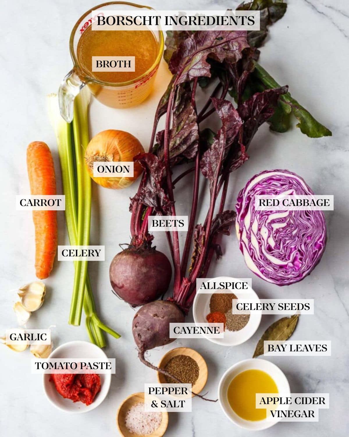 borscht ingredients laid out and labeled - broth, onion, carrot, celery, beets, red cabbage, allspice, celery seeds, cayenne, bay leaves, apple cider vinegar, pepper and salt, tomato paste, and garlic.