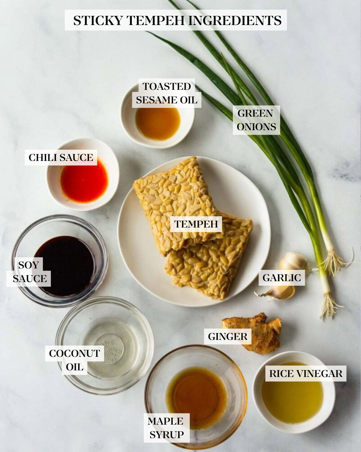 sticky tempeh ingredients neatly arranged and labeled - toasted sesame oil, green onions, chili sauce, tempeh, soy sauce, coconut oil, maple syrup, rice vinegar, ginger, and garlic. 