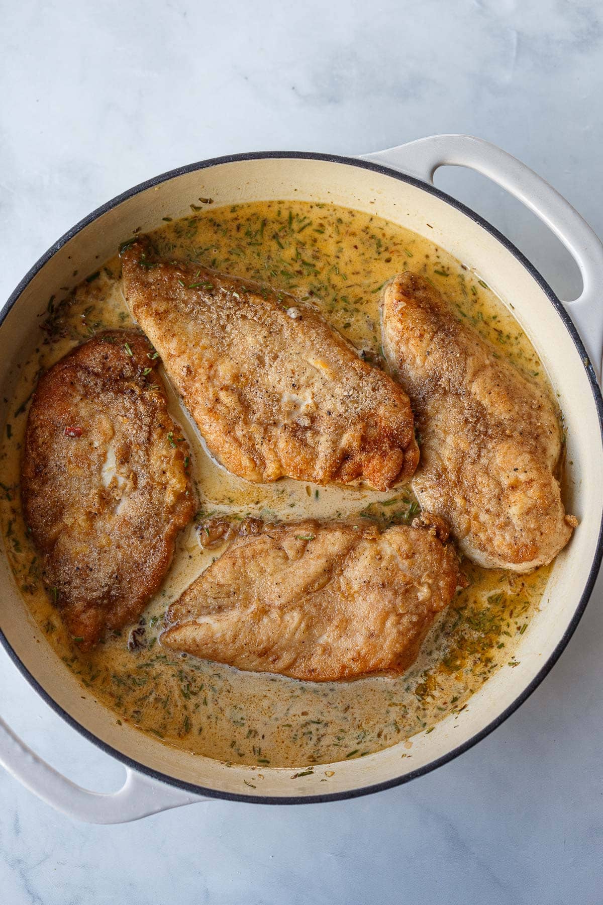 creamy Tuscan chicken in dutch oven - seared chicken in creamy sauce. 