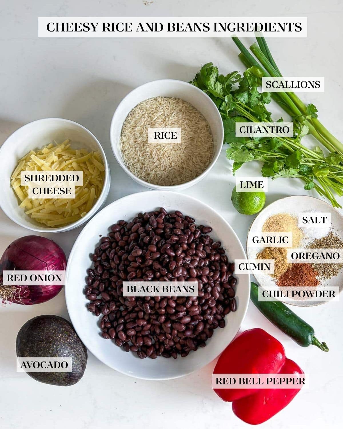 ingredients for cheesy rice and beans - fresh cilantro, rice, grated cheese, black beans, lime, spices, jalapeno, bell pepper, avocado, red onion. 