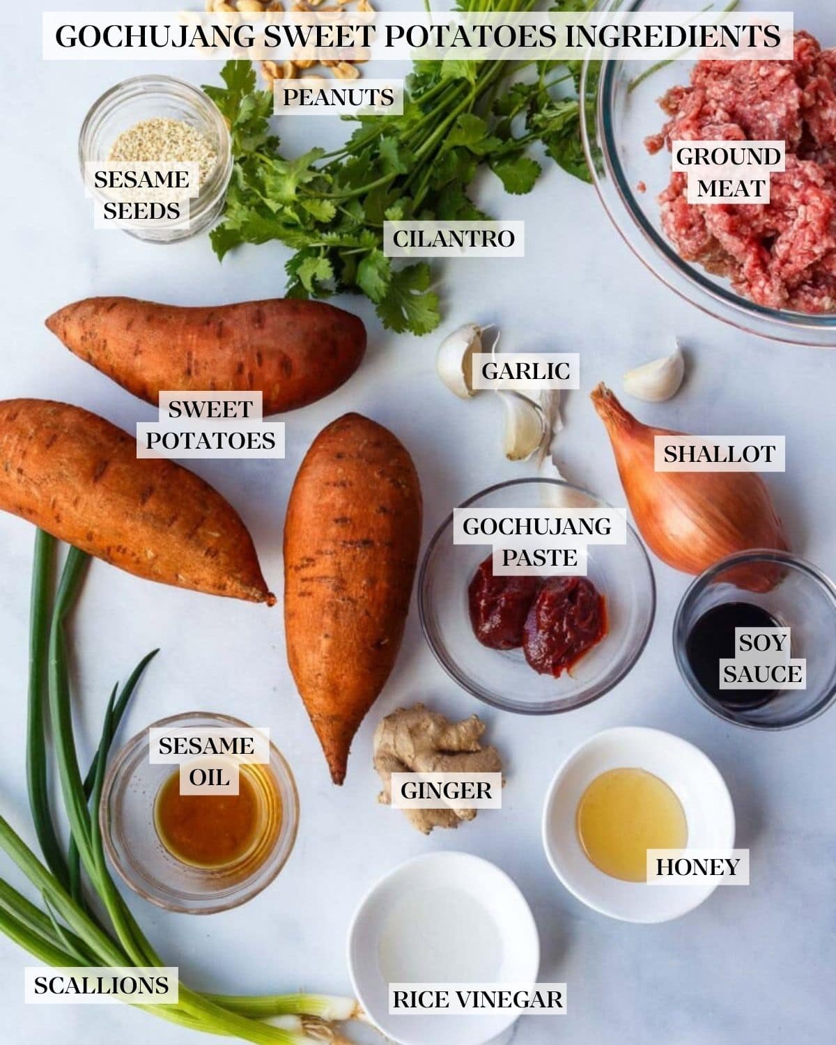 ground turkey sweet potato recipe ingredients labeled and arranged - peanuts, sesame seeds, cilantro, ground meat, sweet potatoes, garlic, shallot, gochujang, soy, sesame oil, ginger, honey, rice vinegar, scallions.