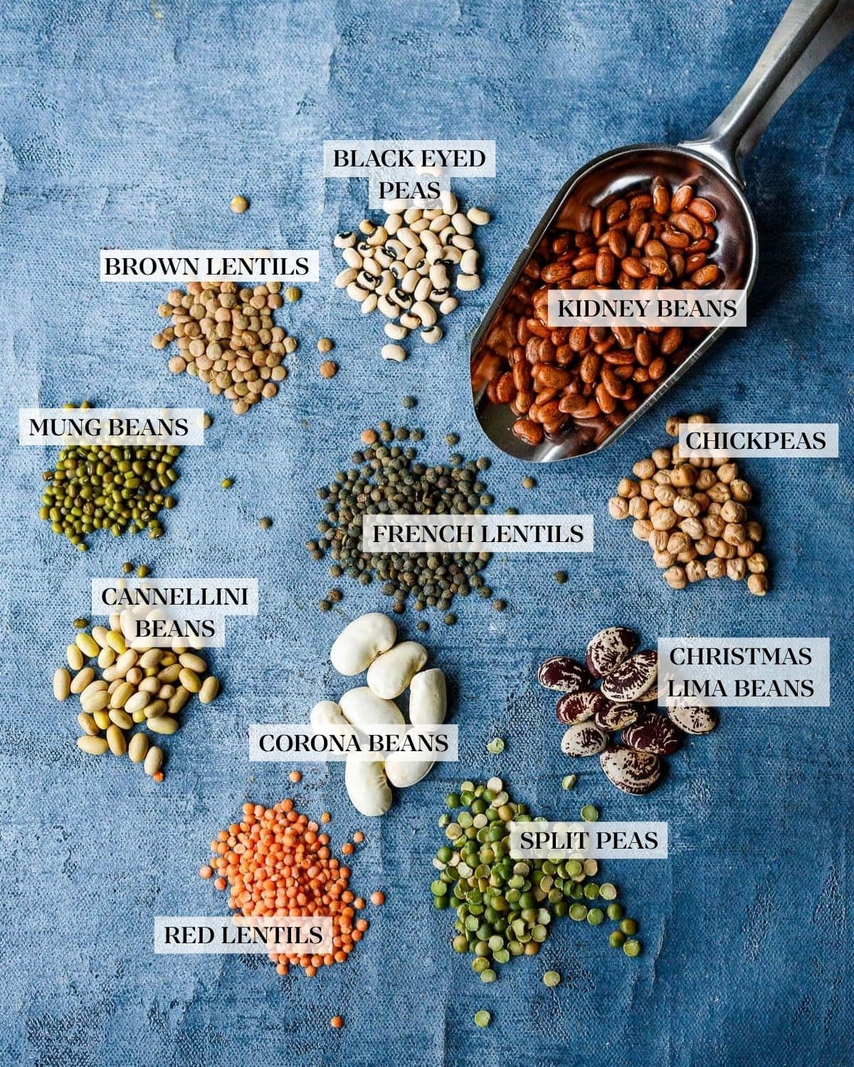 a variety of beans and legumes on a blue background.