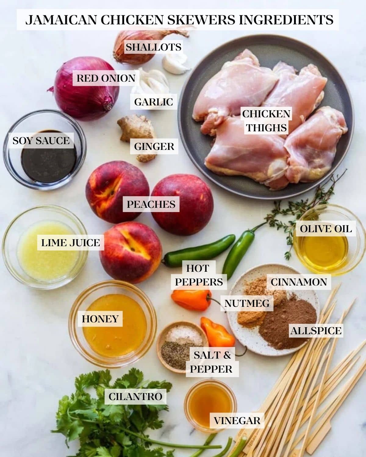 Jamaican chicken skewers ingredients neatly arranged and labeled - shallots, red onion, garlic, ginger, honey, peaches, lime juice, chicken thighs, hot peppers, olive oil, cinnamon, nutmeg, allspice, salt and pepper, cilantro, vinegar.