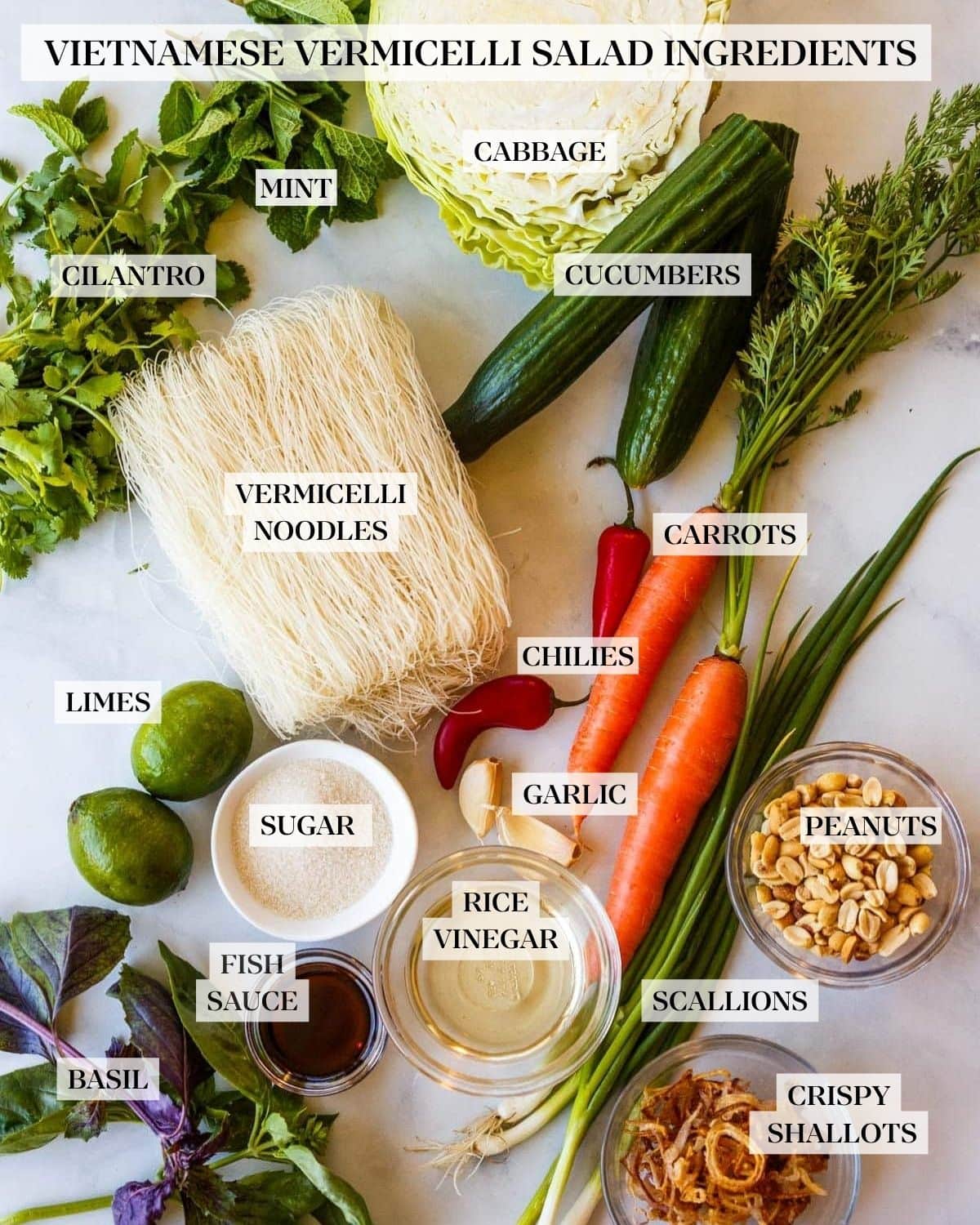 Vietnamese vermicelli salad ingredients laid out and labeled - cabbage, mint, cilantro, cucumbers, vermicelli noodles, carrots, chilies, limes, sugar, garlic, peanuts, rice vinegar, fish sauce, basil, scallions, crispy shallots.
