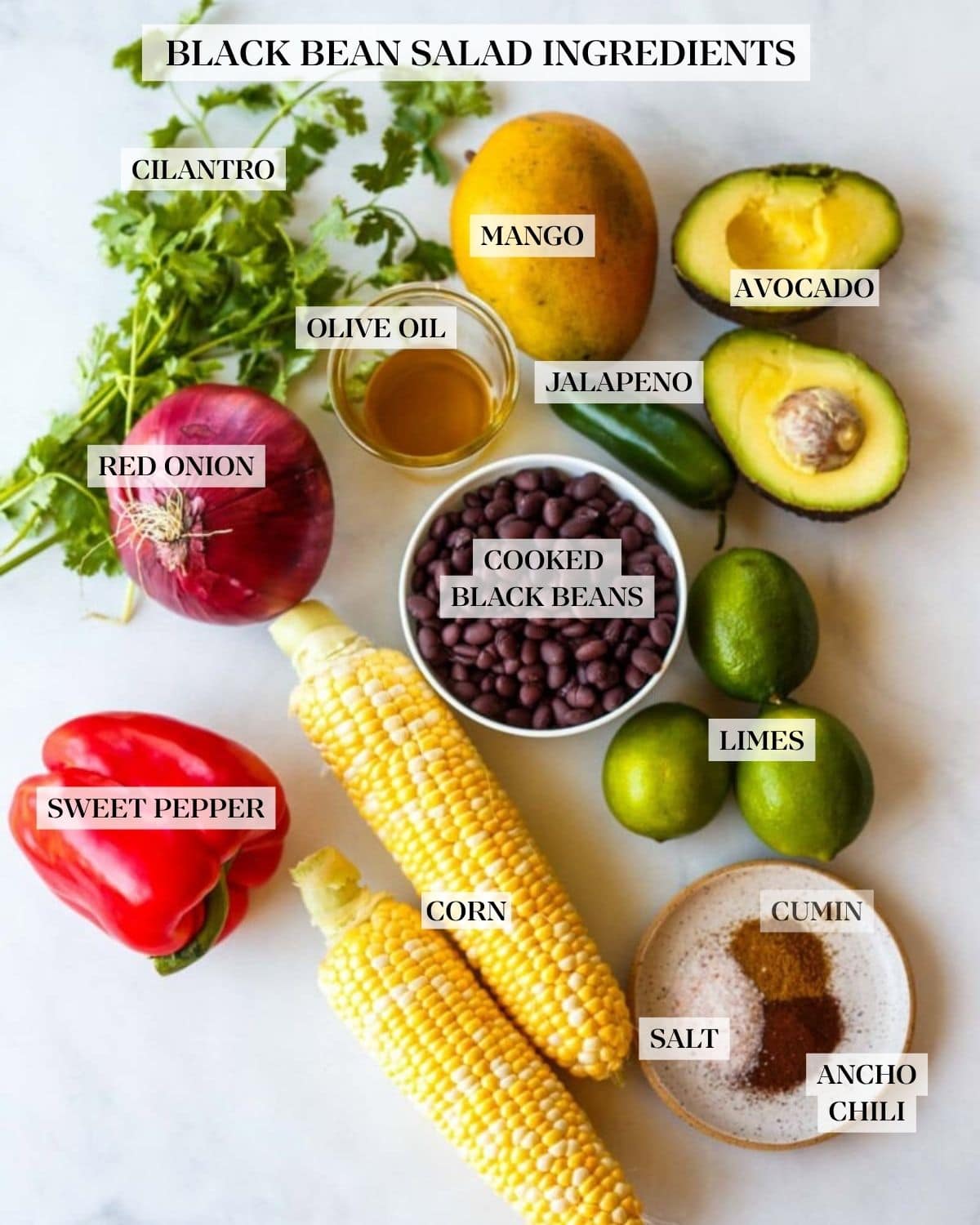 ingredients for black bean salad laid out - fresh cilantro bunch, mango, avocado halves, small glass bowl of olive oil, jalapeño, red onion, bowl of black beans, three limes, two ears of corn, red bell pepper, small ceramic dish with salt, cumin, and ancho chili powder.