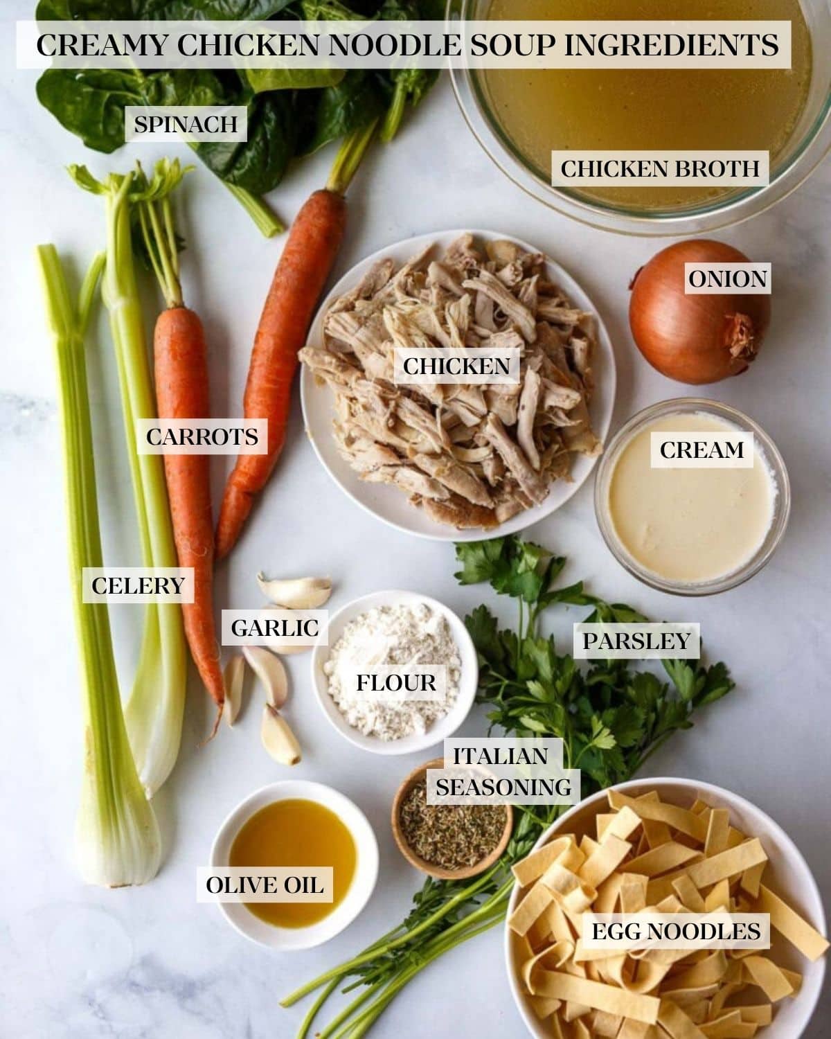 creamy chicken noodle soup ingredients neatly arranged - fresh spinach, glass bowl of chicken broth, plate of shredded chicken, two celery stalks, two carrots, yellow onion, glass bowl of cream, five garlic cloves, parsley bunch, bowls of flour, Italian seasoning, and olive oil, bowl of egg noodles.