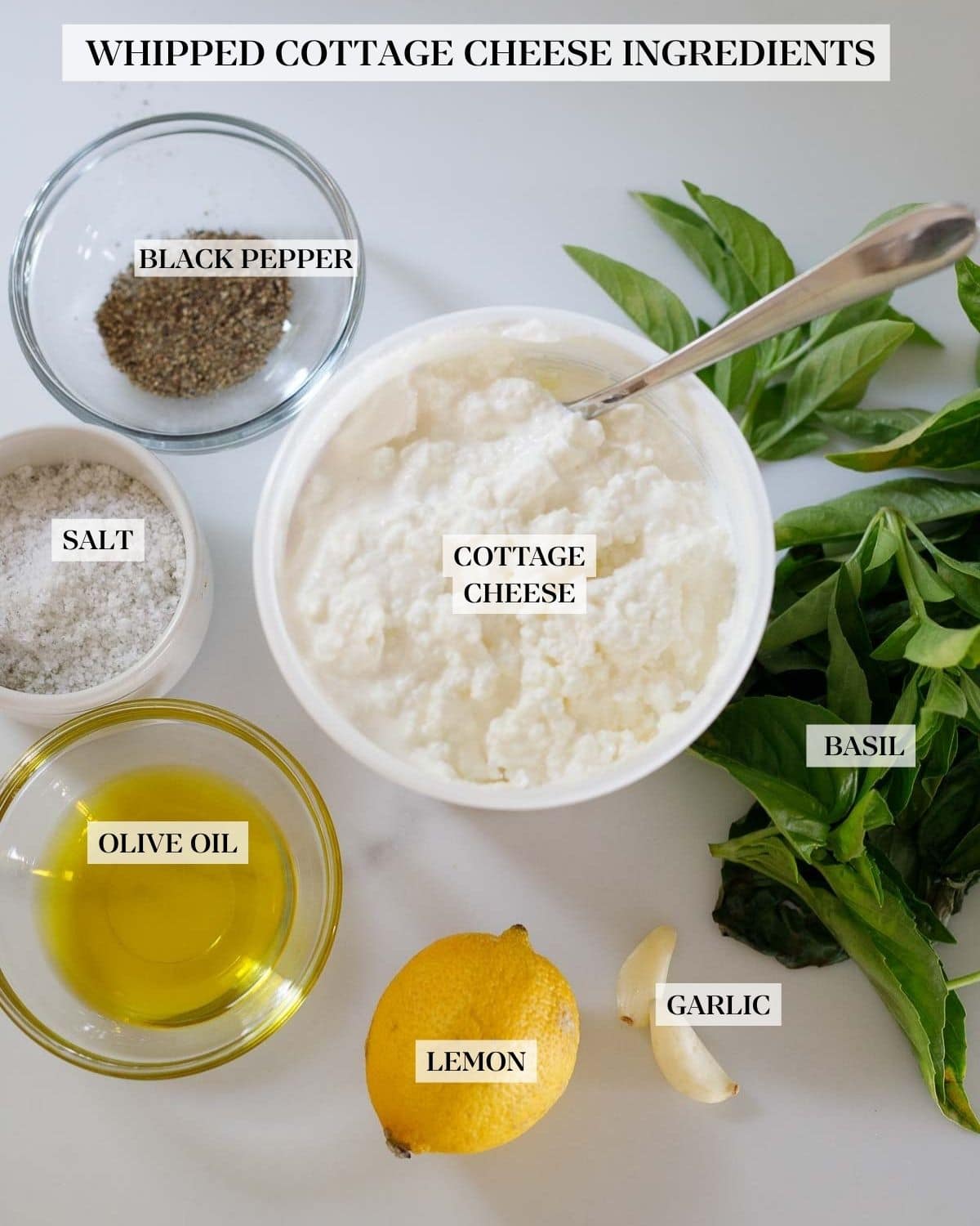 ingredients for whipped cottage cheese dip - bowl of cottage cheese, fresh basil, small bowls of salt, pepper, and olive oil, lemon, garlic cloves.