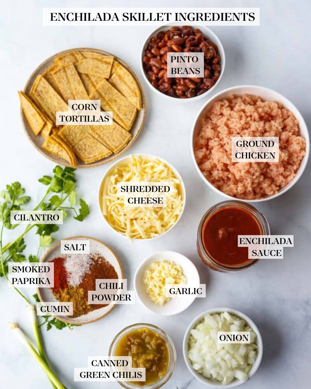 ingredients for enchilada skillet neatly arranged - bowls of beans, corn tortilla pieces, ground chicken, cheese, enchilada sauce, minced garlic, chopped onion, diced green chiles, and spices, and fresh cilantro and scallions.
