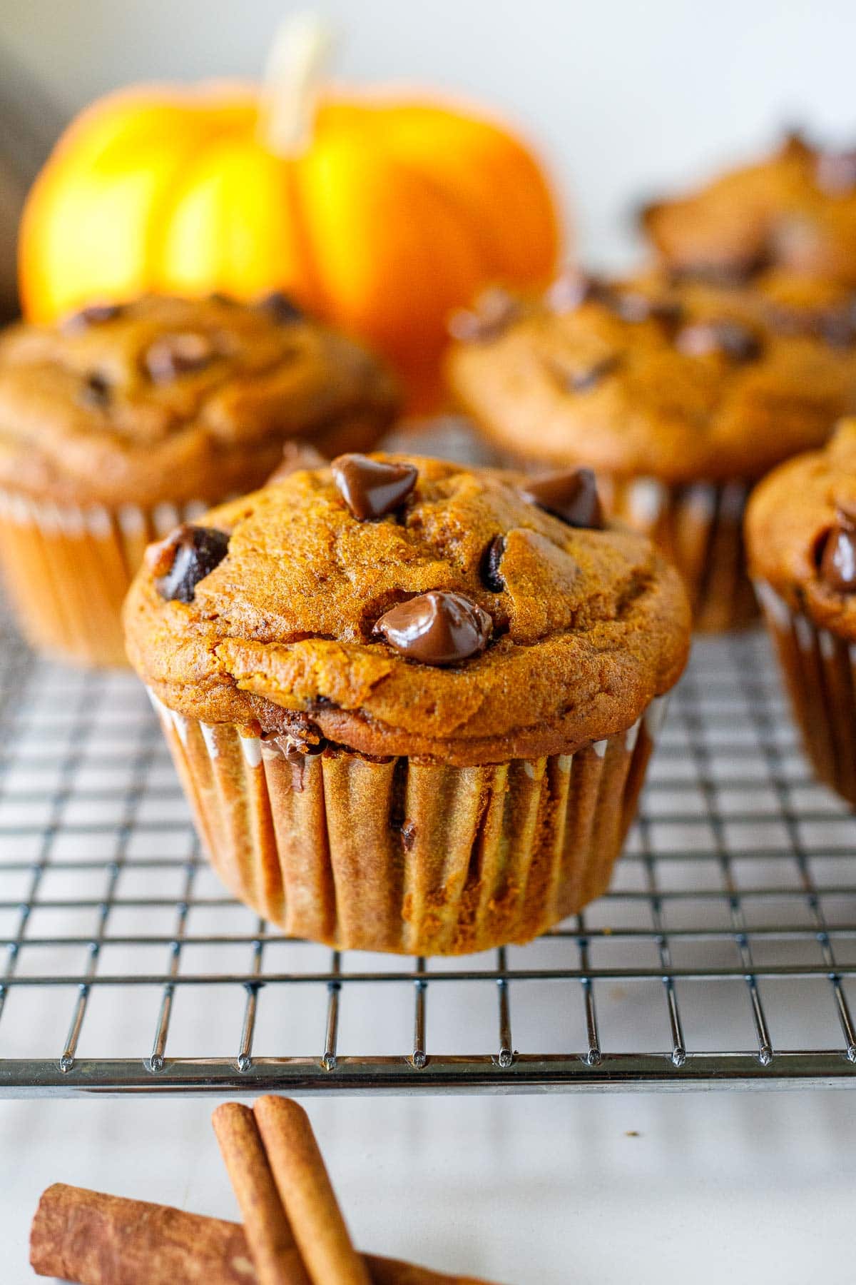 a pumpkin chocolate chip muffin cooling on a wire rack.