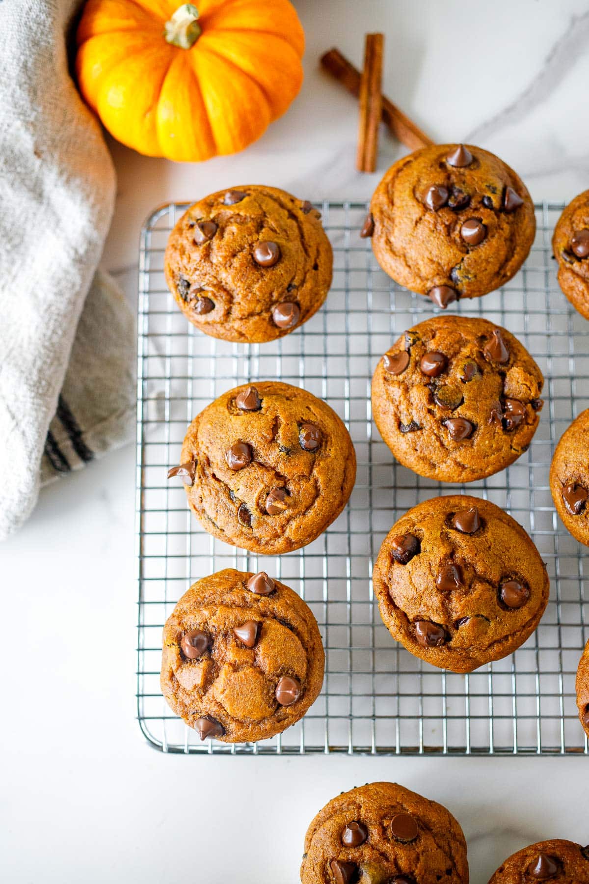Baked pumpkin chocolate chip muffins are cooling on a a wire rack. 